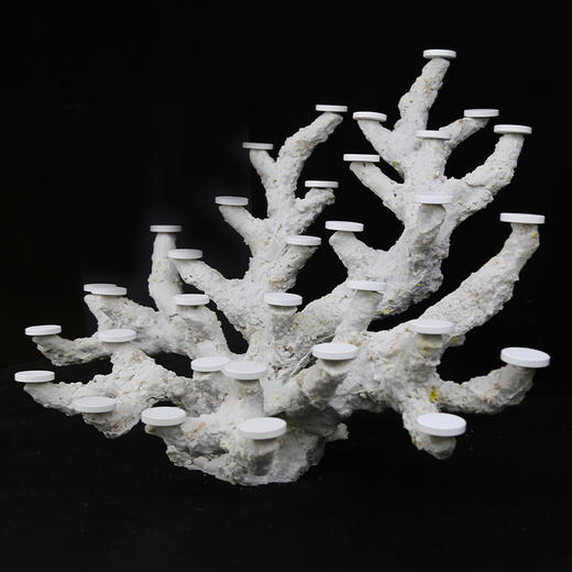 海缸树枝造景 模拟自然质感 商品图3