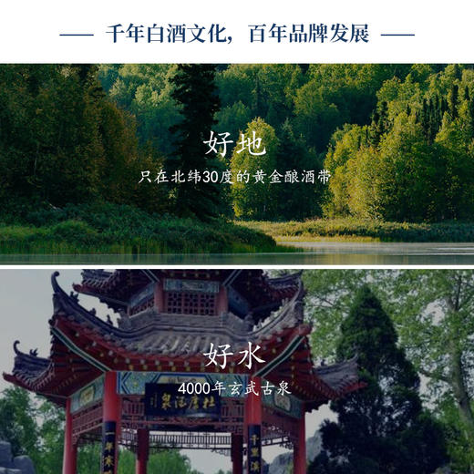 【浓香型】杜康经典500ml 【杜康复古香10 】52度 商品图3