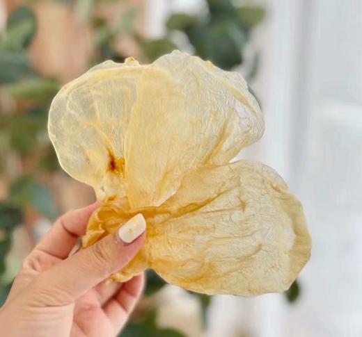 越南花胶礼盒（领秀店） 商品图5