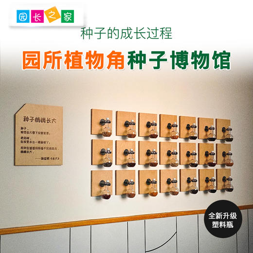 幼儿园植物角种子博物馆 商品图0
