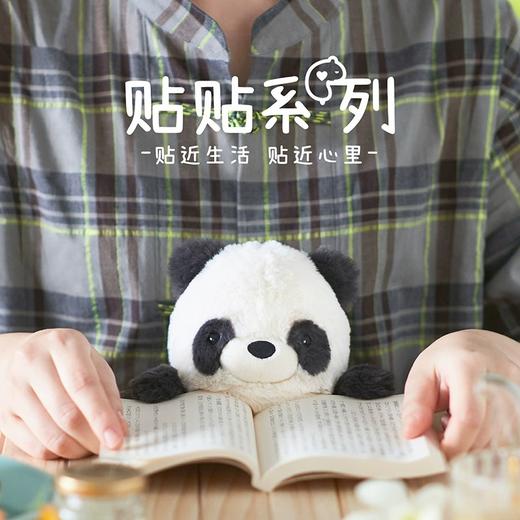 Dreams SonnyAngel贴贴家族公仔第二弹刺猬熊猫毛绒玩具玩偶坐姿调整女生办公室 14岁+ 商品图1