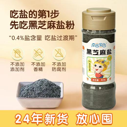 南园国色婴儿盐宝宝辅食黑芝麻盐40g调味芝麻粉辅食粉拌饭料40g 商品图0