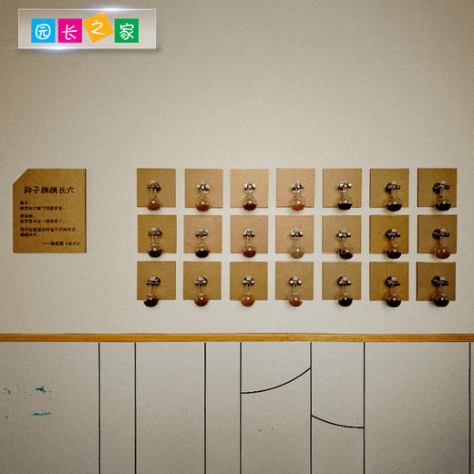 幼儿园植物角种子博物馆 商品图1