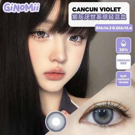 Ginomii 厌世小狼 半年抛 两片 14.2mm 参考着色13.4mm 基弧8.6 含水38% 韩国进口 商品图1