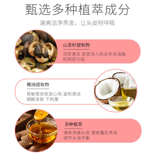 【茶一派】山茶植萃净爽洗发乳 持久留香多效 滋润柔顺 500ml/瓶 商品图2