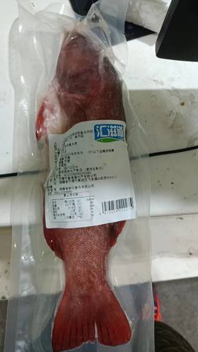 石斑鱼 1条约1.2斤