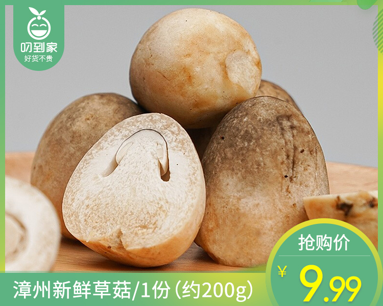 【叼鲜蔬】漳州新鲜草菇/1份（约200g）