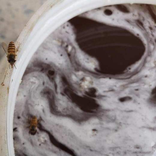 【正宗百花蜜，两瓶包邮，一瓶两斤！】 商品图3