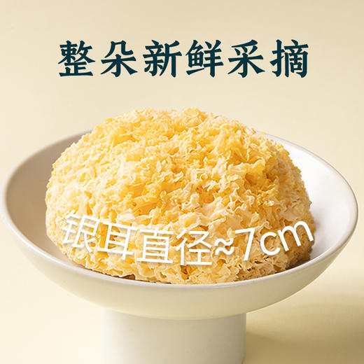 燕之坊 金窝银耳 200g福建古田优质银耳干货无硫糯银耳莲子羹 商品图1