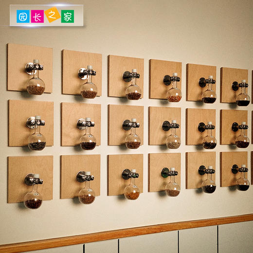 幼儿园植物角种子博物馆 商品图2