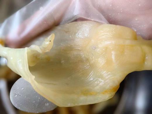 越南花胶礼盒（领秀店） 商品图1