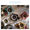 【WEDGWOOD】威基伍德漫游美境骨瓷对碗餐具餐碗瓷碗欧式骨瓷饭碗 商品缩略图2