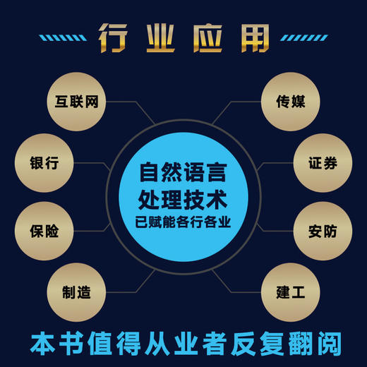 智能文本处理实战 AI自然语言处理技术智能问答系统深度学习文本分析智能推荐算法NLP计算机人工智能书籍 商品图2