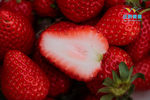 沃野青青*香草莓  净重2.3斤，4盒装 商品图1