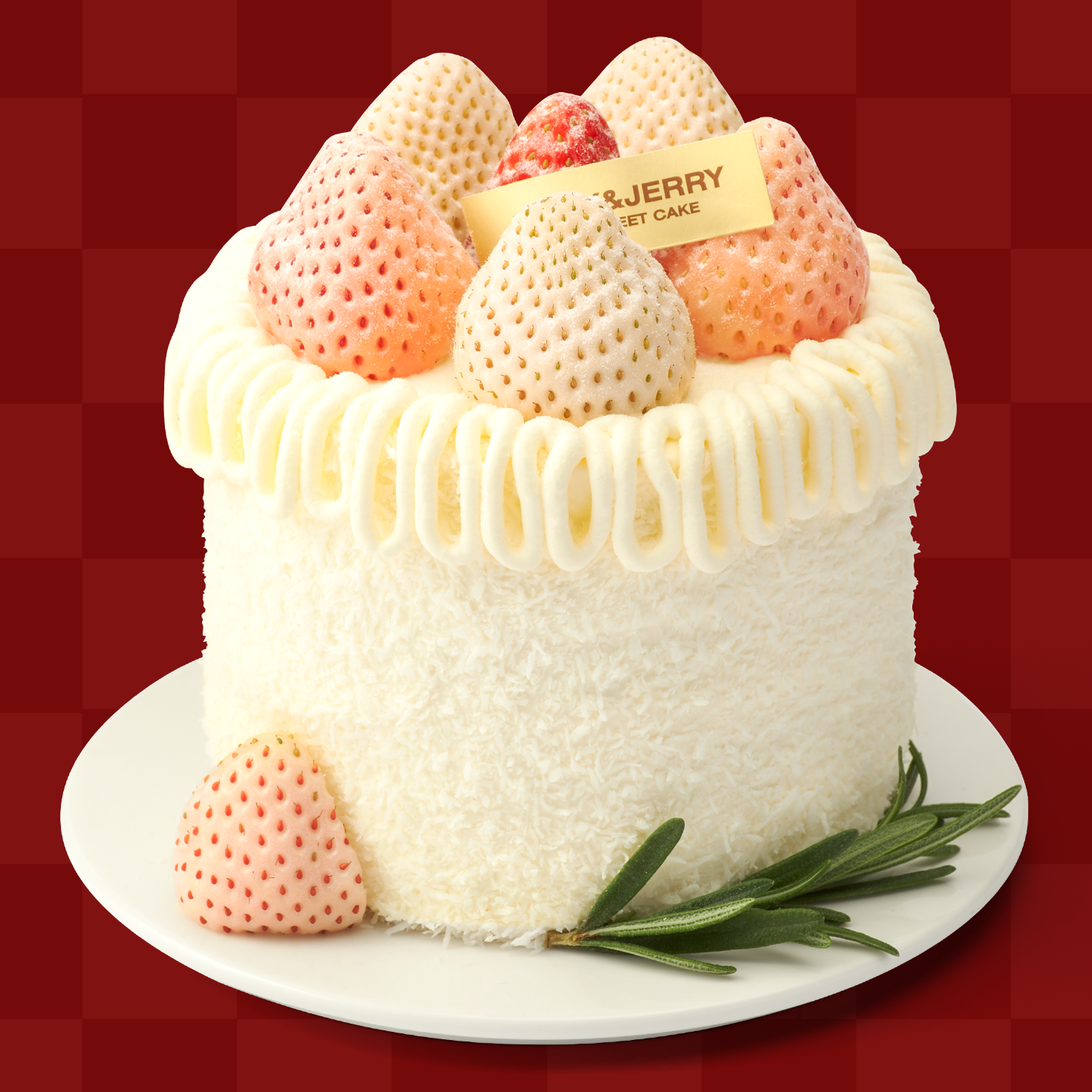 ⚜️淡雪白皇后