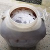 【正宗百花蜜，两瓶包邮，一瓶两斤！】 商品缩略图0