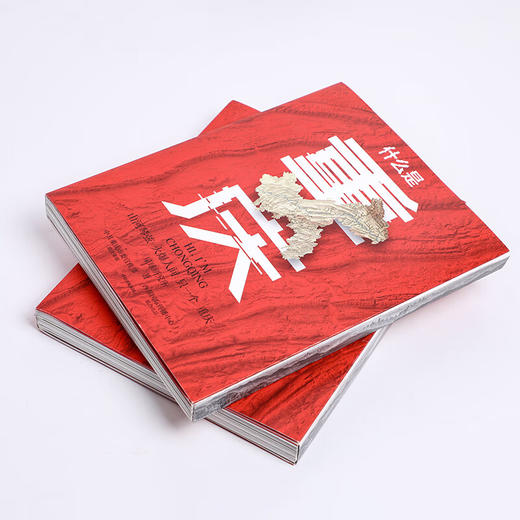 什么是重庆 星球研究所著 重庆火锅 重庆小吃 重庆烟火气 重庆话 这里是中国主创团队 商品图2