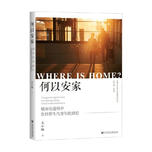 何以安家 王小璐 著 社会科学 商品图0