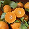 广西砂糖橘，皮薄肉厚，果肉鲜嫩，浓甜化渣！ 商品缩略图3