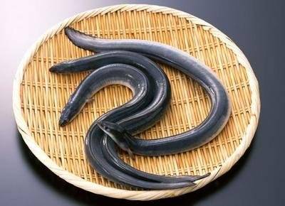 鳗鱼 商品图0