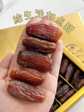 阿拉伯人的灵魂伴侣——沙特椰枣