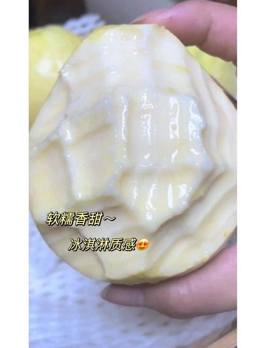 观海听涛长在树上的布丁【黄金奶油芭乐】【红心芭乐】来自福建漳州盐碱地种植  树熟品种 冰淇淋质感 芳香软糯；低糖低卡高VC无负担，适合爱美女士，软糯冰淇淋口感老人小孩都能吃（5斤装） 商品图9