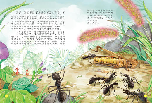 《给孩子的法布尔昆虫记》（彩绘注音版）全10册 商品图4