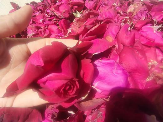 安叶家自产墨红玫瑰纯露500m 商品图2