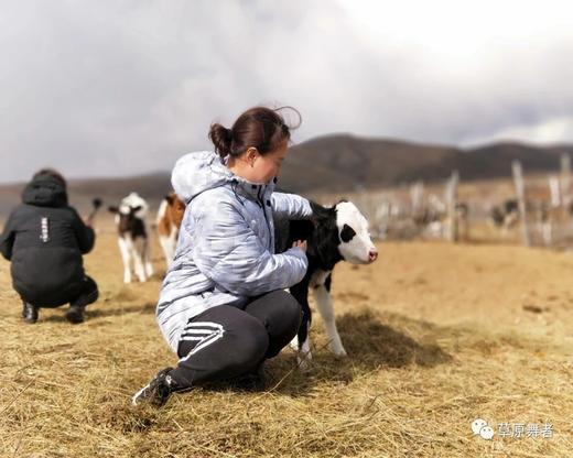 【直降10元】内蒙古牧民正宗自制纯天然牛肉干 无添加手撕风干肉干  需冷藏 商品图4