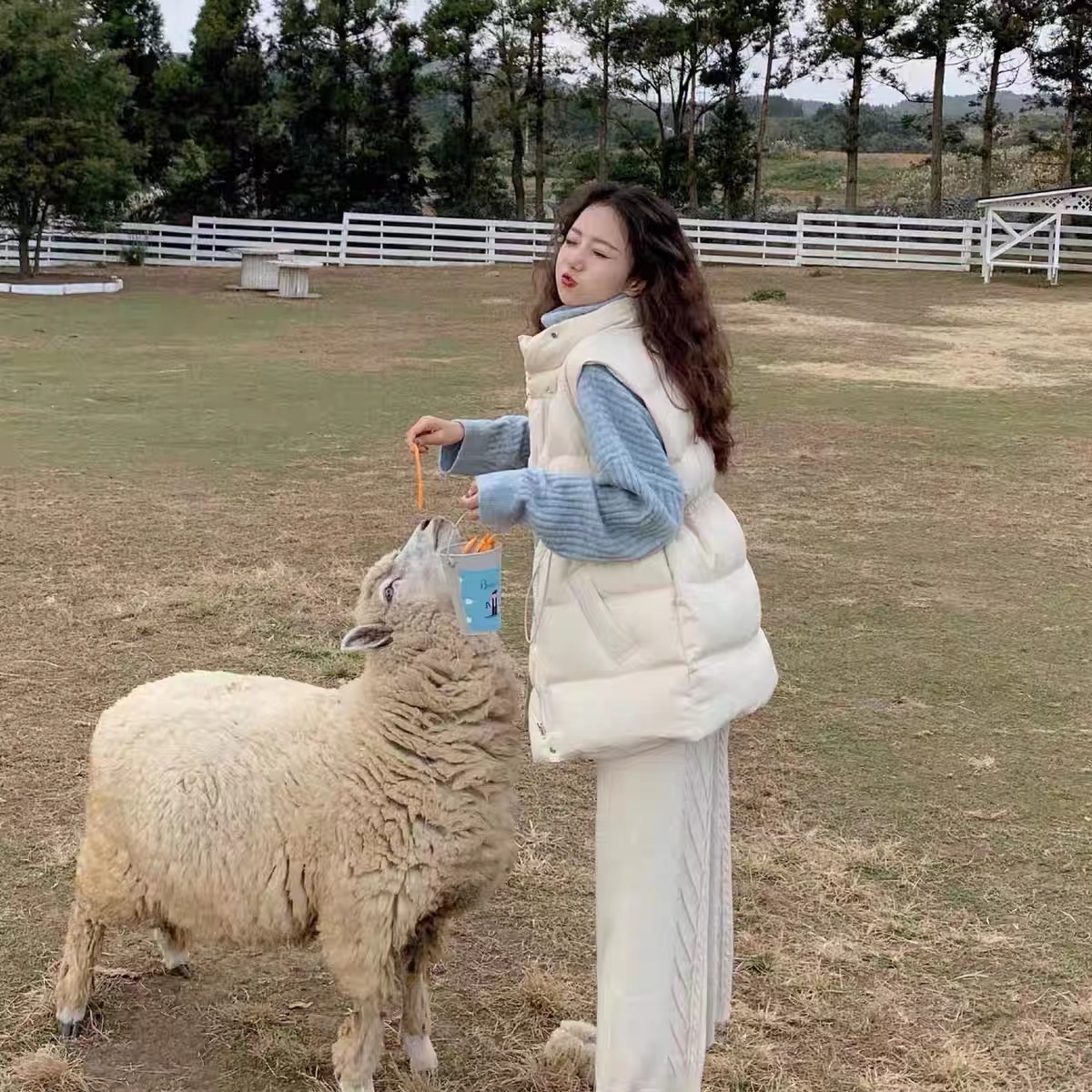 D6227         韩版气质减龄修身显瘦百搭羽绒马甲