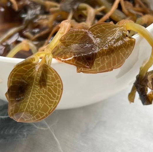 野生金线莲 藏地发货 20克/瓶、50克/瓶 商品图2