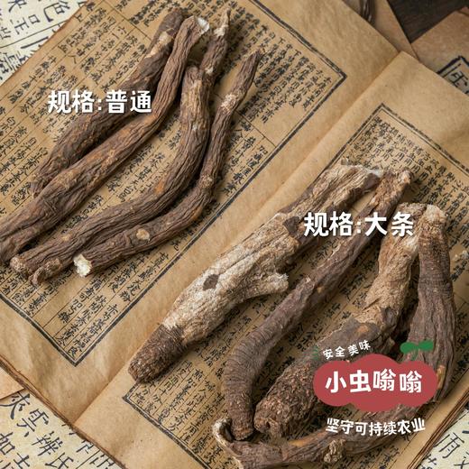 高原野生当归 普通/大条 | 合作农友生产，产自四川甘孜雪山高原，生产者：李建程 &【公平贸易农人定价】 商品图11