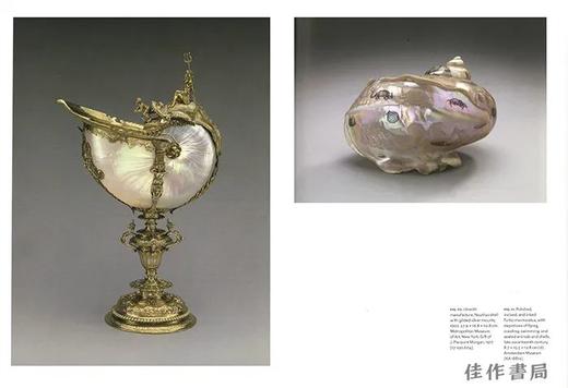 Conchophilia: Shells、Art、and Curiosity in Early Modern Europe / 贝壳癖：贝壳、艺术与早期现代欧洲的好奇心 商品图1