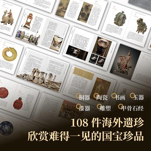 《离家的国宝：中国海外文物寻踪与鉴赏》 商品图1
