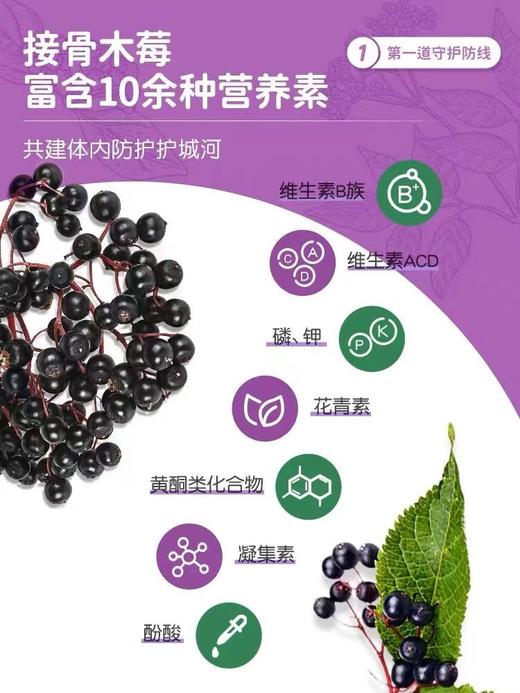 【刮码发货】一般贸易 英珞维接骨木莓酵母提取物儿童宝宝免疫力增强维生素VC糖浆营养品120ml 商品图5