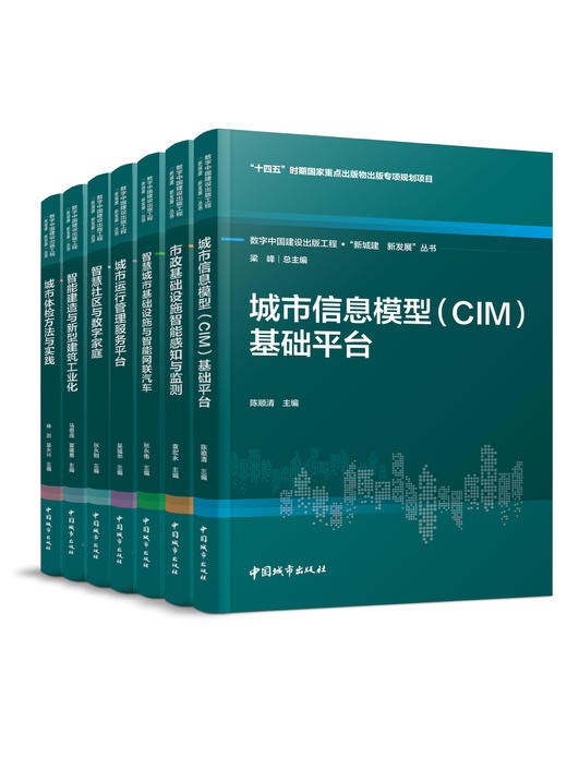 （任选）数字中国建设出版工程·“新城建  新发展”丛书 商品图1