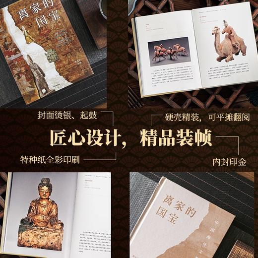 《离家的国宝：中国海外文物寻踪与鉴赏》 商品图2