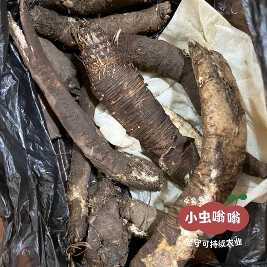 高原野生当归 普通/大条 | 合作农友生产，产自四川甘孜雪山高原，生产者：李建程 &【公平贸易农人定价】 商品图10