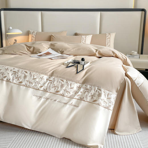 新款加厚新疆全棉长绒棉刺绣磨毛纯棉四件套床单被套 商品图2