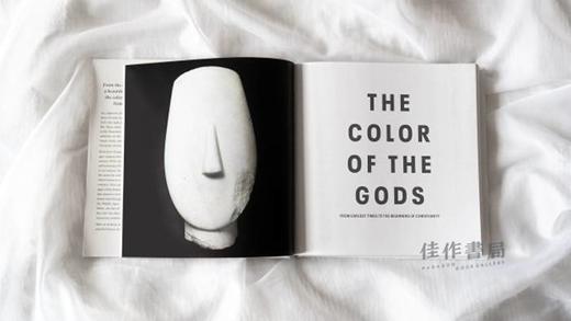  White: The History of a Color / 白色：色彩列传 商品图2