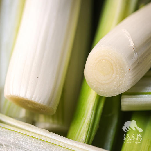 生态河南大葱 | 合作生产*Ecological Scallion | Coproduction 商品图2