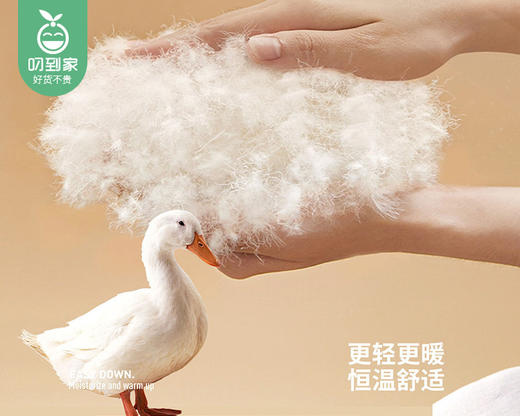 艺达世家女士白鸭绒圆领套装（大红）/1套（L码，适合45-52.5kg）补单专用 商品图4