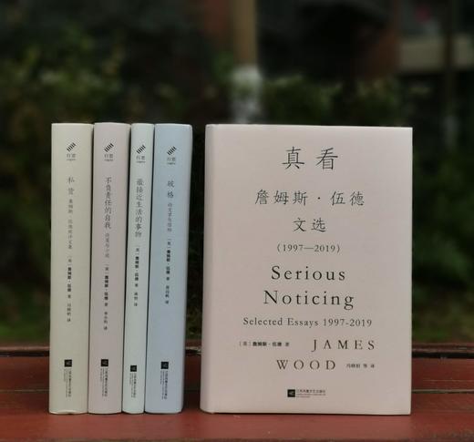 绝版！！詹姆斯.伍德文集五种：《不负责任的自我：论笑与小说》《破格：论文学与信仰》《私货：詹姆斯.伍德批评文集》《真看：詹姆斯.伍德文选》《最接近生活的事物》，精装，32开，[英]詹姆斯.伍德著，江苏 商品图3
