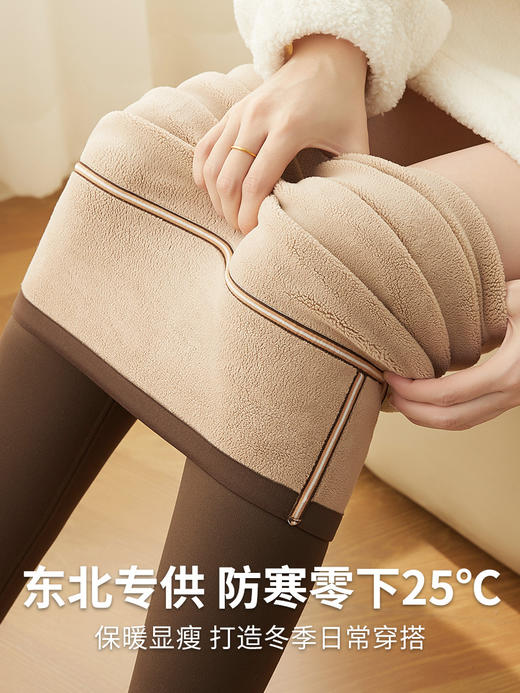 保暖驼绒显瘦鲨鱼裤【锦纶加绒打底裤女 一体绒】冬 加厚高腰收腹 羊羔绒裤外穿 商品图0