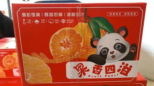 【产地直发】四川春见耙耙柑丨 多规格可选 商品图4