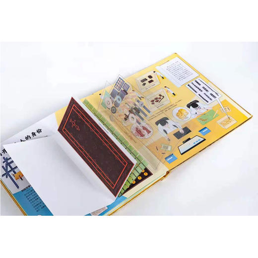 立体书《海昏侯国遗址考古立体书》-黄金王朝的秘密 商品图1