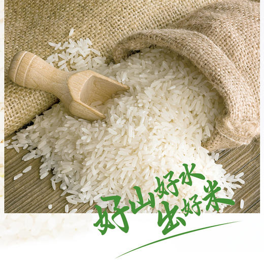 【仅供集采】百丈泉稻龙帝（香米）25kg（仅限赣州地区集采） 商品图2