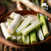 生态河南大葱 | 合作生产*Ecological Scallion | Coproduction 商品缩略图1