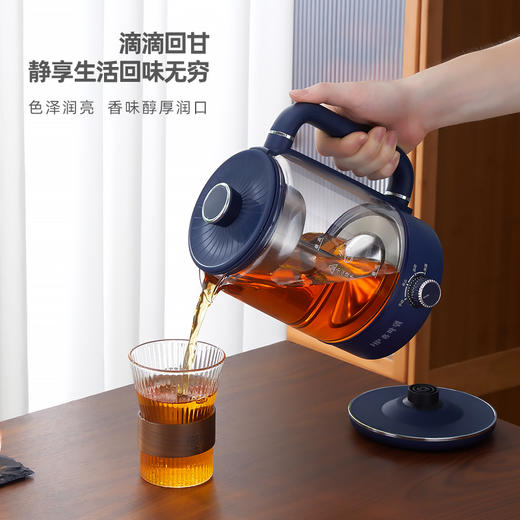 原动力-电水壶 商品图4