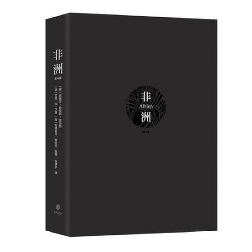非洲（第4版）([美]玛丽亚·格罗斯-恩加特、[美]约翰·H. 汉森、[美]帕特里克·奥米拉  主编) 商品图2